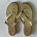 Coach Shoes | Coach Gold Metallic Sandals. | Color: Gold | Size: 9