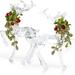 The Holiday Aisle® Acrylic Christmas Reindeer Ornaments | 8.7 H x 7.5 W x 6.2 D in | Wayfair 174EC2C9833F42129DD38AFC3CA8FAEA