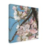 Red Barrel Studio® Dressing by Sandra Iafrate - Wrapped Canvas Graphic Art Canvas in Blue/Green/Pink | 14 H x 14 W x 2 D in | Wayfair