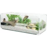 Terrarium für Meeresschildkröte ...