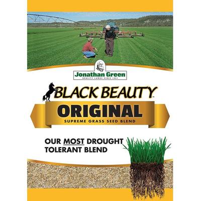 Jonathan Green 10318 Black Beauty Grass Seed Blend, Up To 1500 Sq.Ft, 5 Lbs - 5 Lbs