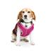 Pink Reflective Trim Dog Harness, XX-Small/X-Small