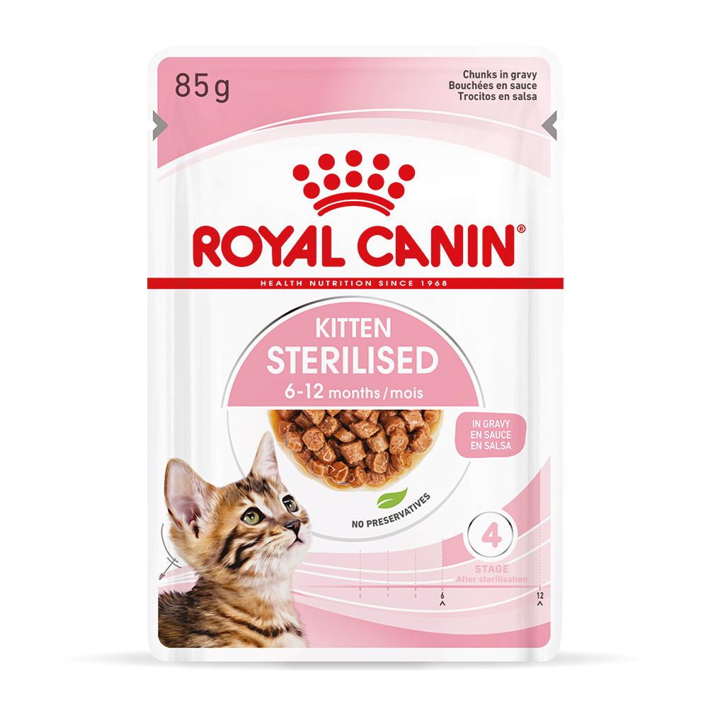 Royal Canin Kitten Sterilised umido in Salsa per gatti - Set %: 24 x 85 g