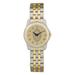 Women's Gold/Silver Bard College Raptors Two-Tone Medallion Wristwatch