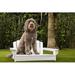 Tucker Murphy Pet™ Dog Adirondack Chair Bed (Large) in White | 5 H x 28 W x 30 D in | Wayfair 4B353C8E3470472D9FB5FB046362685A