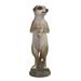 Loon Peak® Blanchie Statue Resin/Plastic in Brown/White | 9.1 H x 6.1 W x 5 D in | Wayfair CD23BC2AD8F54DD782152FA7F3179B64