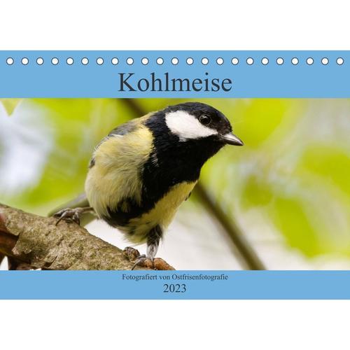 Kohlmeise - Fotografiert von Ostfriesenfotografie (Tischkalender 2023 DIN A5 quer)