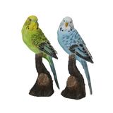 Bayou Breeze Athyrium 2 Piece Parakeet Set Resin/Plastic in Blue/Brown/Green | 7 H x 3 W x 2 D in | Wayfair E4EDAC9C57894EE884996101BBE23251