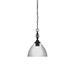 Red Barrel Studio® Elegante 1-Light Pendant Glass | 14.25 H x 10.75 W x 10.75 D in | Wayfair 8CEB4DF386ED456B9E1FEC5A4D462D46