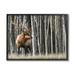Stupell Industries Elk Looming Out Birch Trees Animal Forest Photograph Oversized Black Framed Giclee Texturized Art By Danita Delimont /Canvas | Wayfair