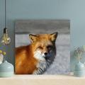 Loon Peak® Red Fox Standing On Floor - 1 Piece Square Graphic Art Print On Wrapped Canvas Metal in Black/Brown/Gray | 32 H x 32 W x 2 D in | Wayfair