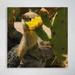 Dakota Fields A Squirrel Smelling A Flower Of A Cactus - 1 Piece Square Graphic Art Print On Wrapped Canvas in Green/Yellow | Wayfair