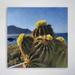 Dakota Fields Some Yellow Flowers Of Cacti Under Blue Sky - 1 Piece Square Graphic Art Print On Wrapped Canvas in Blue/Green/Yellow | Wayfair