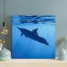 Rosecliff Heights Black & White Shark In Water - Wrapped Canvas Painting Canvas in Black/Blue | 16 H x 16 W x 2 D in | Wayfair