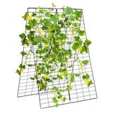 Arlmont & Co. 2-piece Green Cucumber Garden Trellis Grow Support For Climbing Plant Metal/Steel in Gray/Green | 50.5 H x 34 W x 17 D in | Wayfair