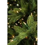 10-Ft. Foxtail Pine Christmas Tree with Warm White LED Lights - Fraser Hill Farm FFFX010-5GR