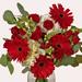 Love Me Do Bouquet - Grand - The Bouqs Co.