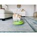Nina Ottosson by Outward Hound Wobble Bowl Dog Game - Interactive Slow Feeder Bowl Dog Game (affordable option) in Green | Wayfair 69344