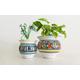 Ceramic Plant Pots | mini planters | 2 Small Succulent Planters Minimalist | Bohemian Indoors Outdoors Garden