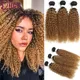 IChain Y-Bundles de tissage de cheveux humains bouclés crépus blond ombré rouge brun extensions