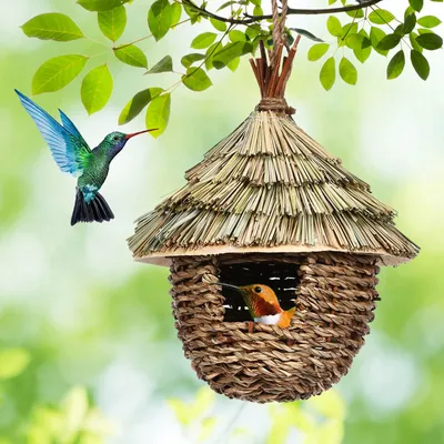 Maison de colibri décorative pour jardin nidification de colibri nidification de colibri niches