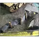 Modèle de cabanon en acier ondulé 1/35 tuile l'inventaire sable matériel de table disposition de