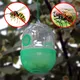 Face Plastic-Attrape-frelon asiatique piège à guêpes Monténégro de mouches anti-équation
