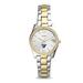 Women's Fossil Silver Howard Bison Personalized Scarlette Mini Two-Tone Stainless Steel Watch