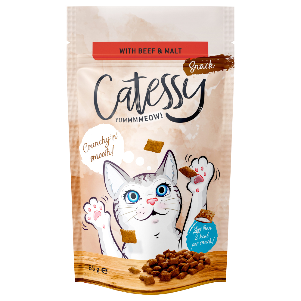65g Catessy Crunchy Snacks Anti-Hairball with Beef & Malt Cat Treats