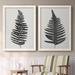 Bayou Breeze Forest Fern III - 2 Piece Picture Frame Print on Canvas Canvas, Solid Wood in Black/White | 36.5 H x 53 W x 1.5 D in | Wayfair