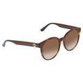 Gucci Accessories | New Gucci Brown Gradient Cat Eye Women's Sunglasses | Color: Brown | Size: 55mm-20mm-145mm