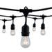 Arlmont & Co. Kaitlynmarie 30-ft Outdoor 12 - Bulb Standard String Light (End to End Connectable) in Black | 360 W in | Wayfair