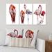 Design Art Sky Bird Flamingo In A Wildlife - Traditional Art Set Of 3 Pieces Canvas in Pink/Red | 20 H x 12 W x 1 D in | Wayfair COL3059-3P-12-20