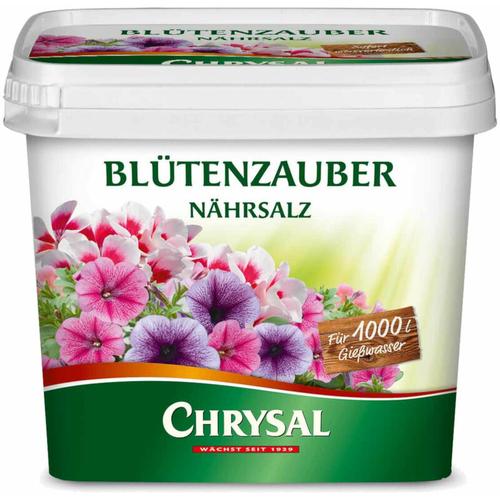 Blütenzauber Nährsalz 1 kg – Chrysal