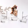 Support en métal acrylique Base minérale présentoir pour minéraux en cristal minéraux Agate