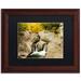 Trademark Fine Art 'Fall at the Falls' by Michael Blanchette Framed Photographic Print Canvas | 14.25 H x 17.25 W x 0.75 D in | Wayfair