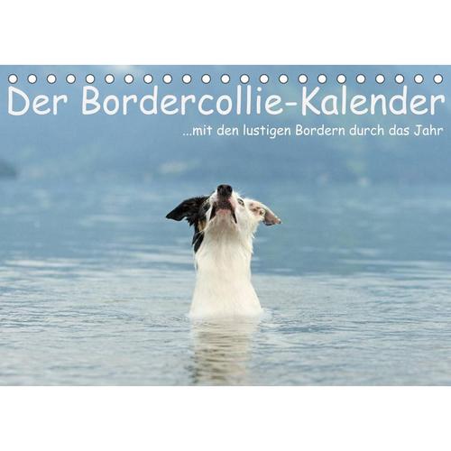 Der Bordercollie-Kalender (Tischkalender 2023 DIN A5 quer)