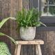 Ivyline Albero Round Bowl Planter - Stylish & Waterproof - Durable Home Tabletop Balcony Rustic Finish Decorative Indoor Flower Pot - H26cm x D28cm