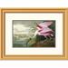 Global Gallery Roseate Spoonbill by John James Audubon Framed Painting Print Paper | 28.9 H x 1.5 D in | Wayfair DPF-265883-16-102