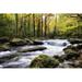 Loon Peak® Over Flow II Canvas | 8 H x 12 W x 1.25 D in | Wayfair D78E03D3A6D04E51B6BD3B337B50146B