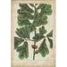 Gracie Oaks Oak Leaves & Acorns I Canvas | 18 H x 12 W x 1.25 D in | Wayfair 6144C6B0F7CA4C2AA47A692D797BEBB4