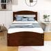 Red Barrel Studio® Storage Bed, Twin Size Wood Platform Bed w/ Drawer Wood in Brown | 36 H x 41 W x 80 D in | Wayfair