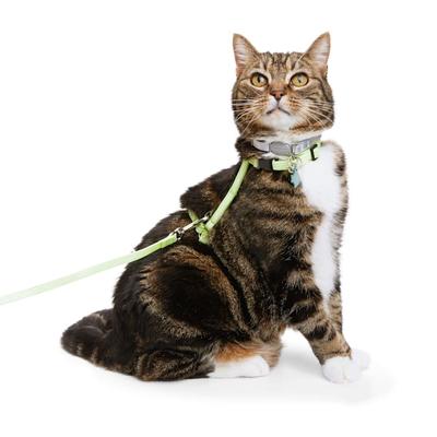 YOULY Green Glow in the Dark Cat Harness & Lead
