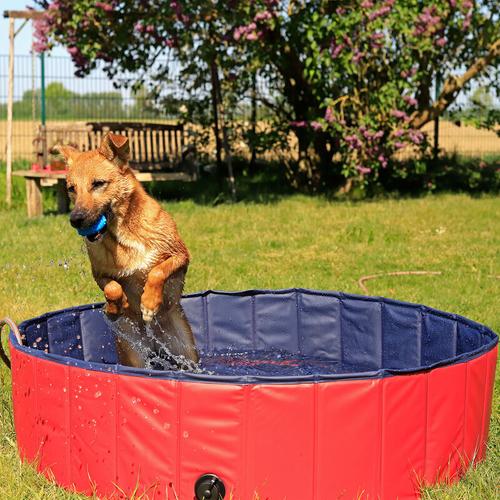 Faltbarer Hundepool, Schwimmbecken für Hunde, Hundebad, Größe m (120 cm Durchmesser / Höhe 30 cm)