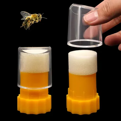 Marqueur d'équation de bouteille de reine pour l'apiculture attrape-tube avec piston en peluche