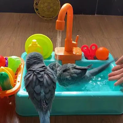 Cage de bain pour perroquets baignoire pour oiseaux piscine Calopsita jouets pour perruches