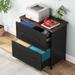 2 Drawer File Cabinet for Home Office, Letter Size