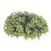 Primrue Purple Sage Boxwood Floral Arrangemen Plastic | 3 H x 10 W x 10 D in | Wayfair 26AA68840D3D4AD8ACC66DB3848EFFFC