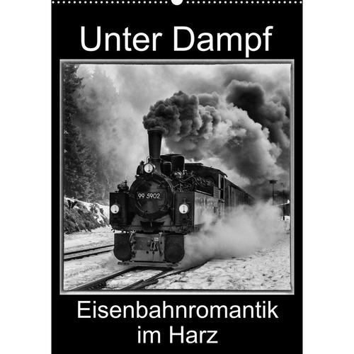 Unter Dampf. Eisenbahnromantik im Harz (Wandkalender 2023 DIN A2 hoch)