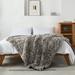 Everly Quinn Edenborn Elec Shaggy Super Soft Sherpa Faux Fur Throw Faux Fur in Gray | 50 W in | Wayfair CB56B0F36ACA478282DD0B7E1D04B170